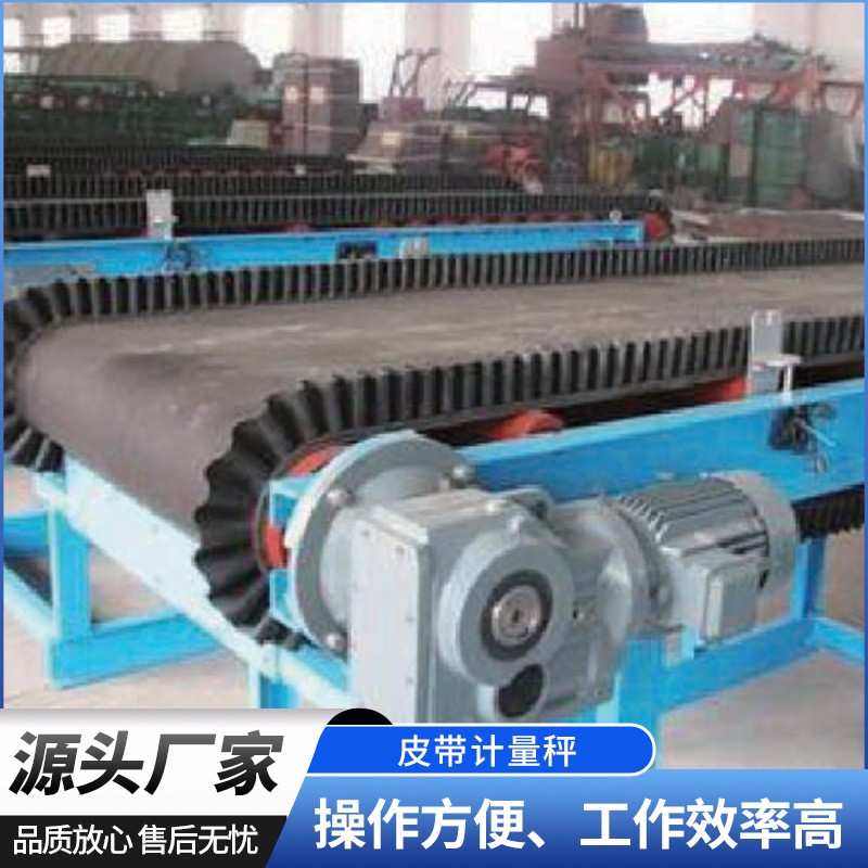 電子皮帶計(jì)量秤工廠供應(yīng) 高精度電子皮帶秤稱(chēng)重給煤機(jī) 計(jì)量皮帶秤