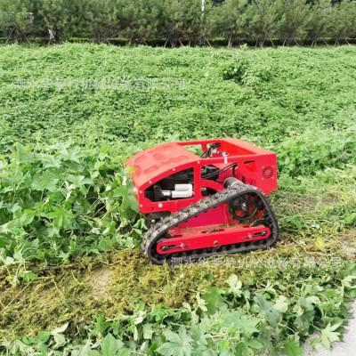 小型遙控割草機(jī) 履帶式自行走山坡河道雜草除草機(jī)出口果園割草機(jī)