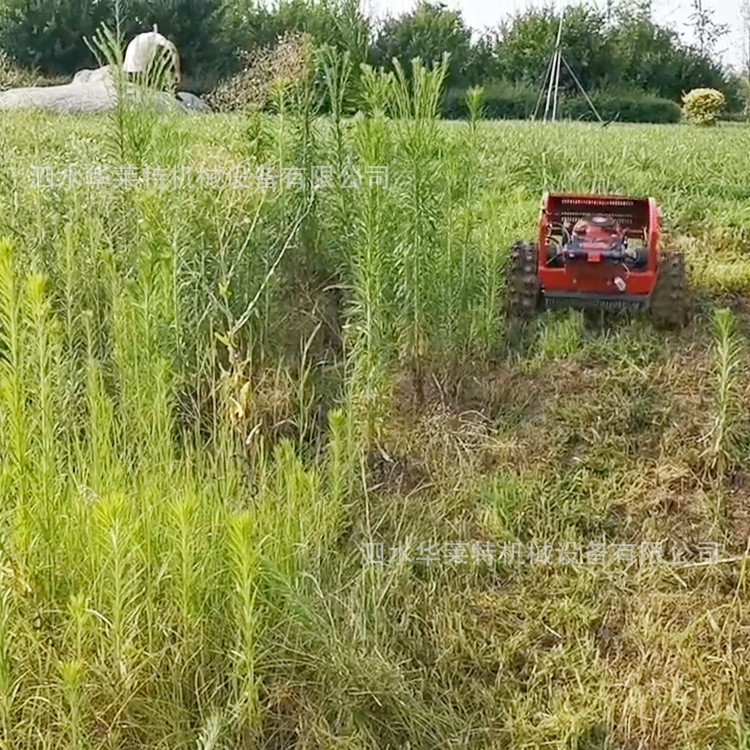 智能家用遙控割草機(jī) 小型果園雜草修剪機(jī) 履帶河灘山坡草叢修剪機(jī)