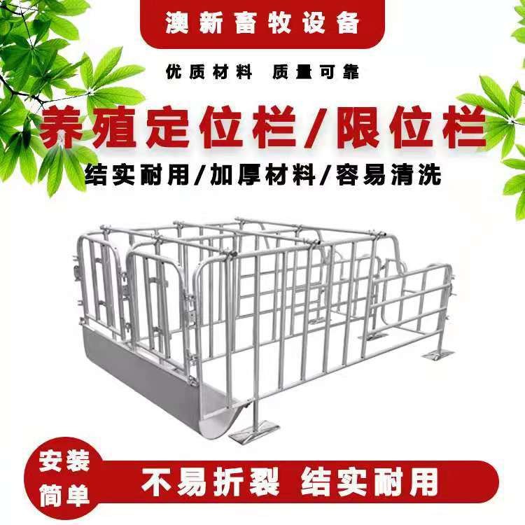 供應豬用定位欄限位欄 豬場養(yǎng)豬帶食槽養(yǎng)豬設(shè)備豬定位欄廠家批發(fā)