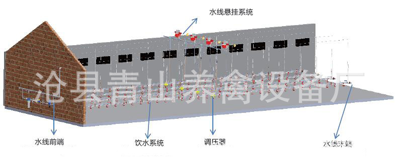 供應(yīng)養(yǎng)雞水線 全自動養(yǎng)雞水線 肉雞養(yǎng)殖設(shè)備 平養(yǎng)雞料線 水線