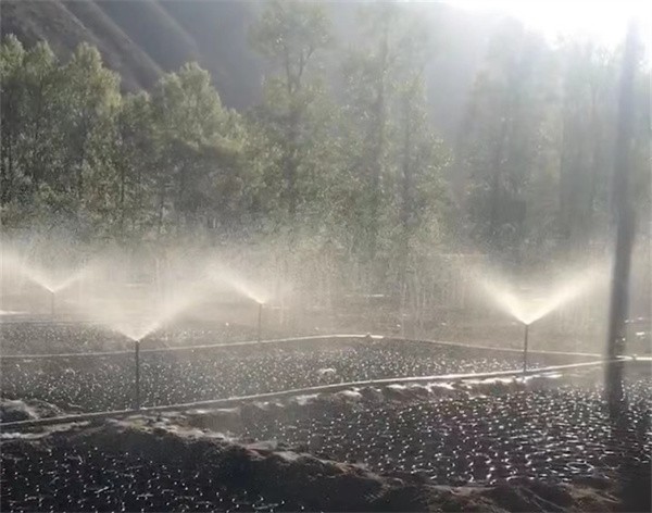 大田噴灌