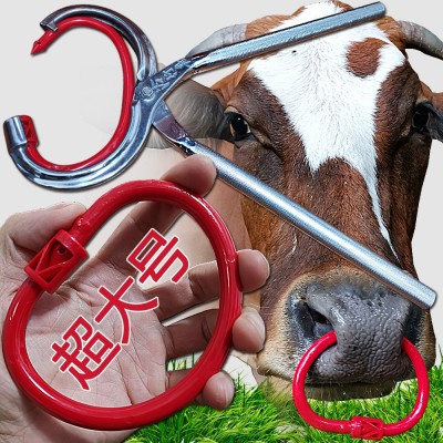 廠家直銷特大號(hào)養(yǎng)牛器械設(shè)備 牛鼻環(huán)牛鼻圈 牛鼻鉗子穿孔打孔鉗子