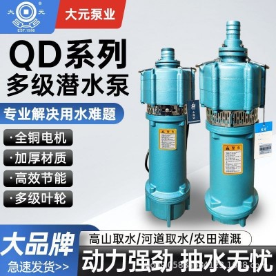 大元QD潛水泵多級小老鼠家用大流量農(nóng)用灌溉高揚程單相220V噴泉泵