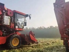 濰坊“三秋”保障、農(nóng)機作業(yè)、烘干點、履帶式收獲機信息一覽