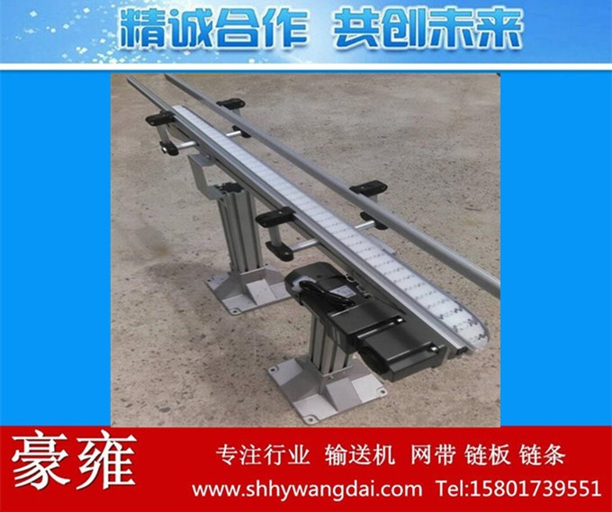 制作肉類食品傳送線 柔性輸送線 吹塑全自動化生產(chǎn)線 網(wǎng)鏈輸送機(jī)