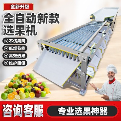 全新全自動選果機(jī)分選機(jī)李子圣女果金桔櫻桃檳榔百香果水果分選機(jī) 1臺