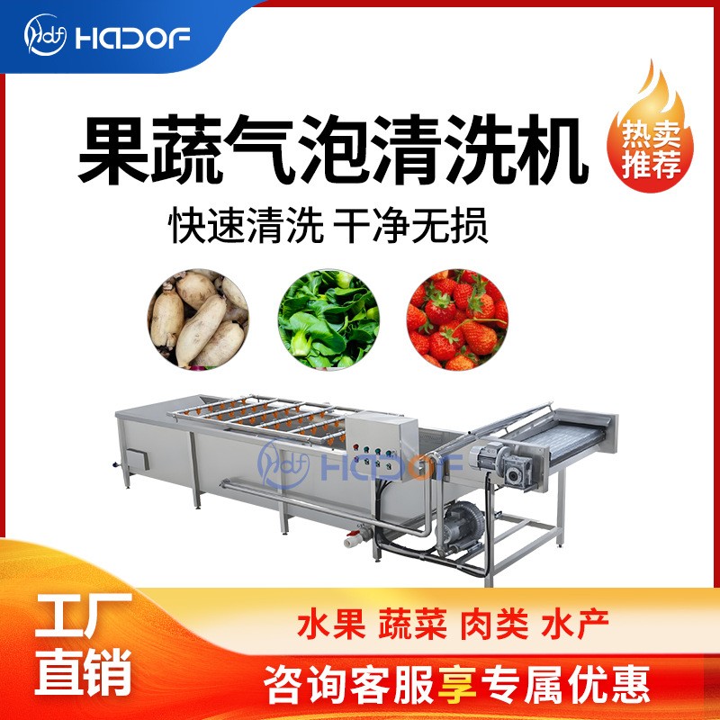 全自動瓜果蔬菜氣泡清洗機不銹鋼噴淋式洗菜機中央廚房凈菜產(chǎn)線