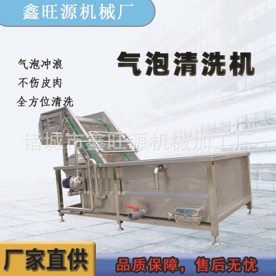 鑫旺源大棗噴淋式清洗機薺菜高壓循環(huán)流水洗菜機菜葉類氣泡清洗機